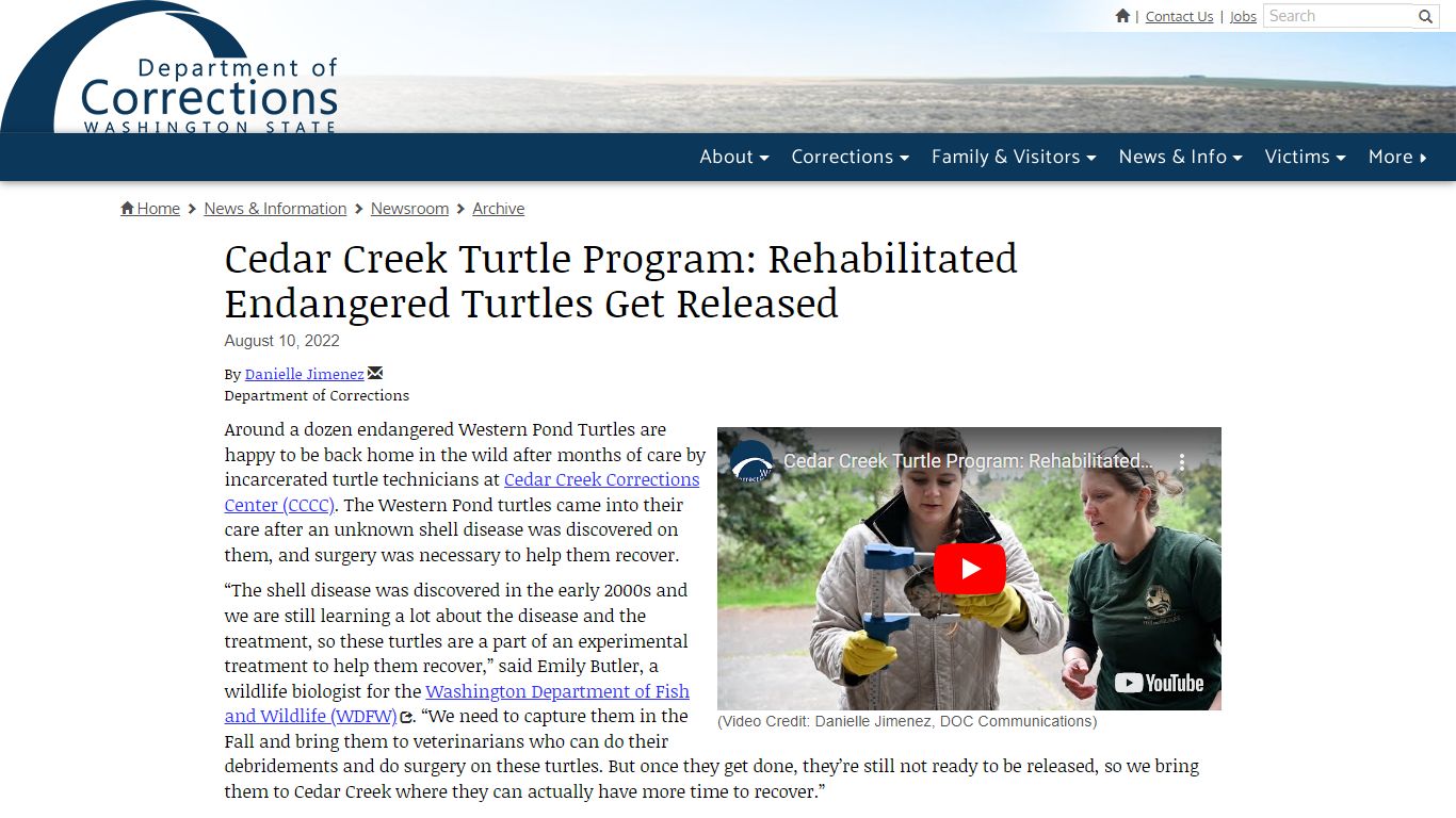 Cedar Creek Turtle Program: Rehabilitated Endangered Turtles Get ...